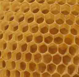 Прошлогодний сот, в ячейках которого ни разу не выводились пчёлы.