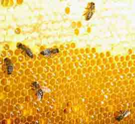 Мёд запечатан на треть, но этого явно не достаточно. (Фото автора.)